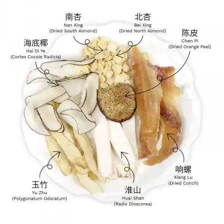 德成行汤包系列 海底椰响螺清热润肺汤 6oz