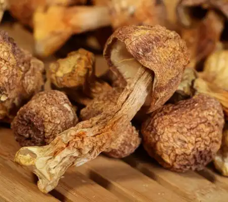 德成行 姬松茸 8oz