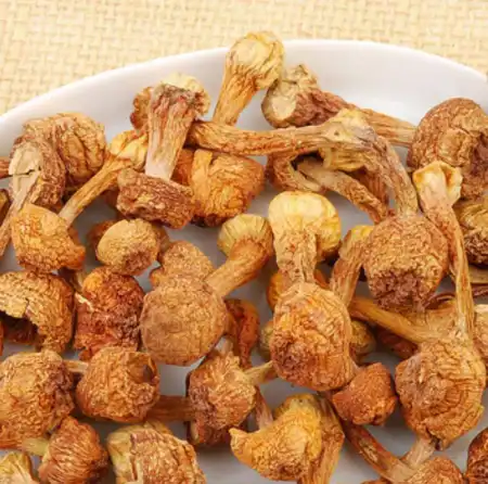 德成行 姬松茸 8oz