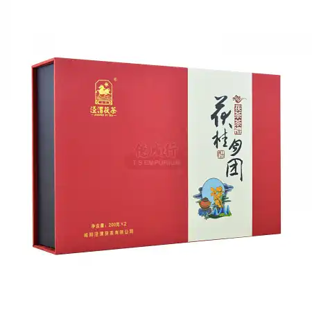 JINGWEI FU TEA Dark Tea Brick Set 400g - Tak Shing Hong