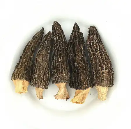 德成行 羊肚菌 2oz (A13-13263)