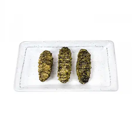 德成行 G20洪都拉斯荔枝参 16oz (海参#10021)